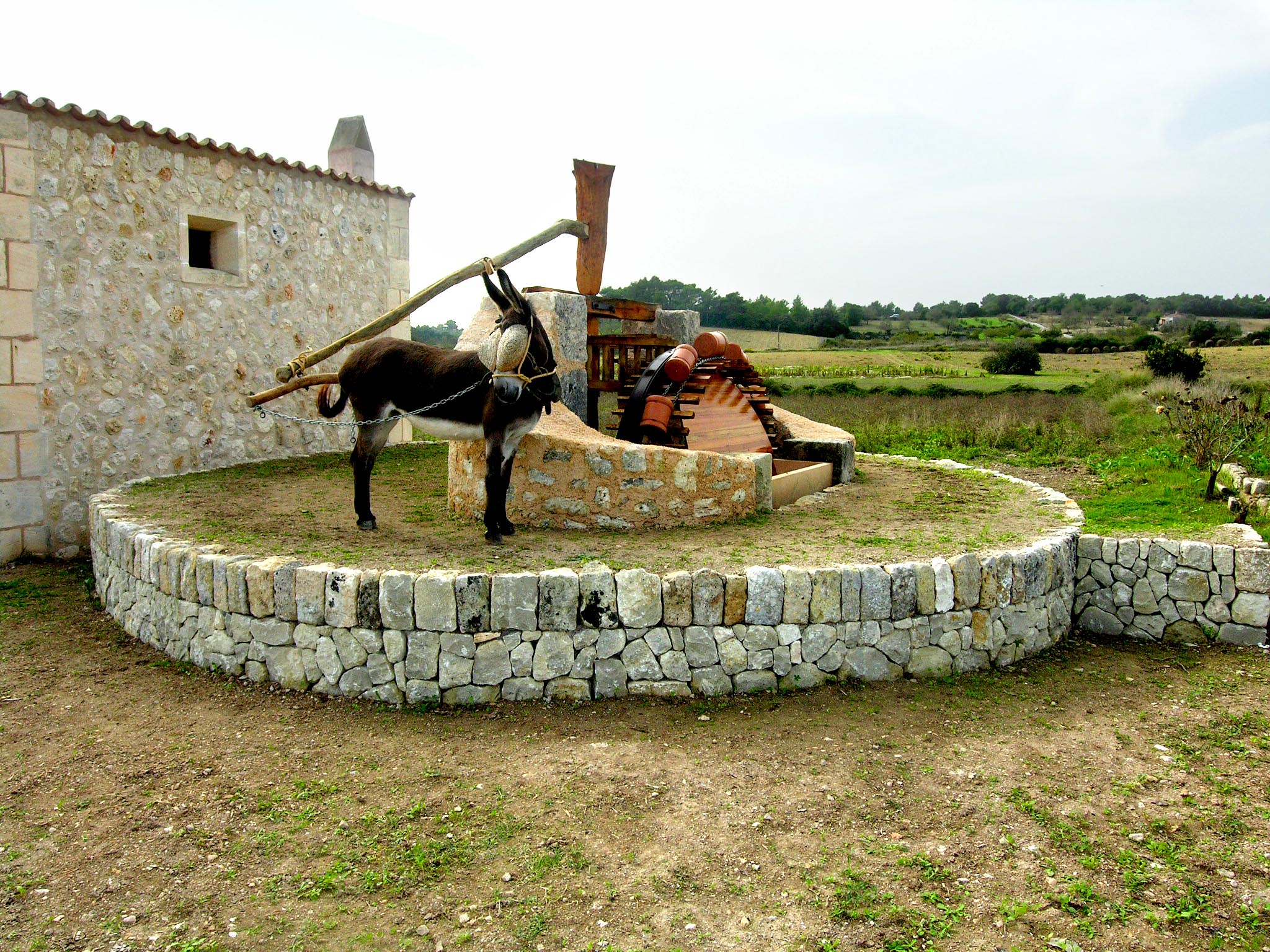 Sínia de s'Hort de Son Mas (Porreres)