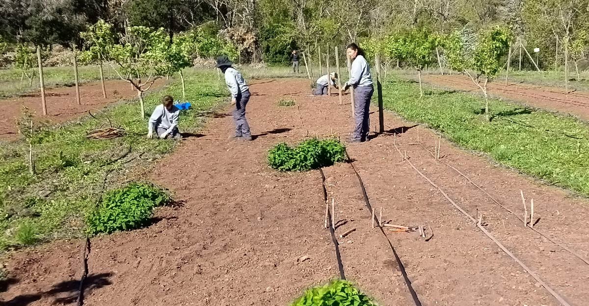 Huerto de variedades autóctonas