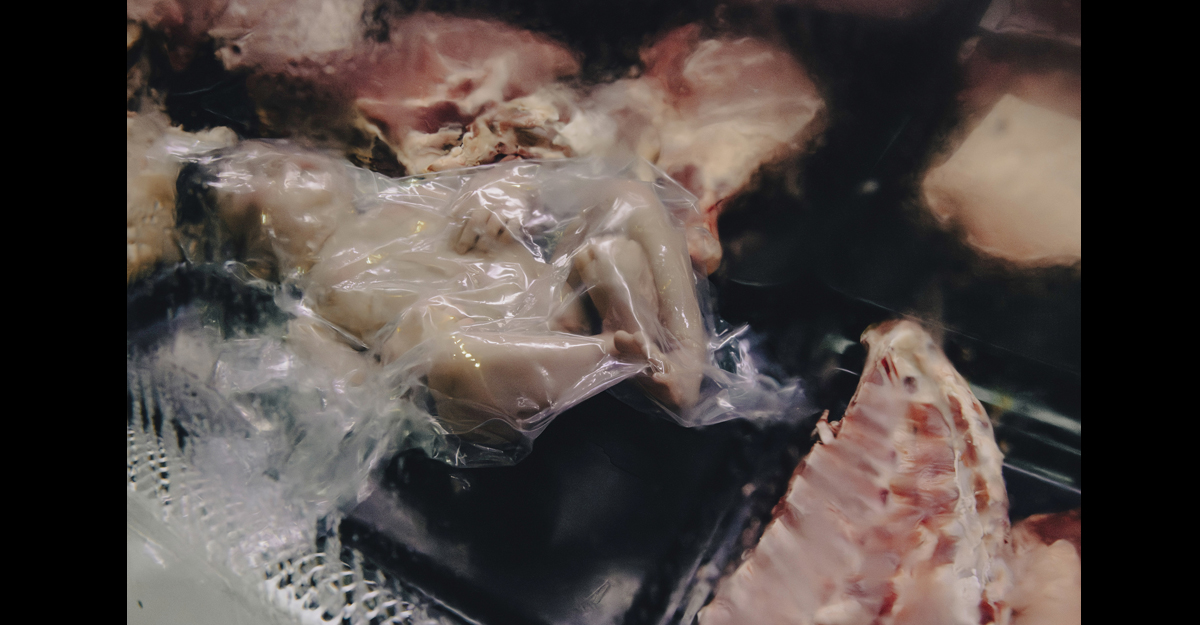 «En carn pròpia». Mar Agüera Llinàs