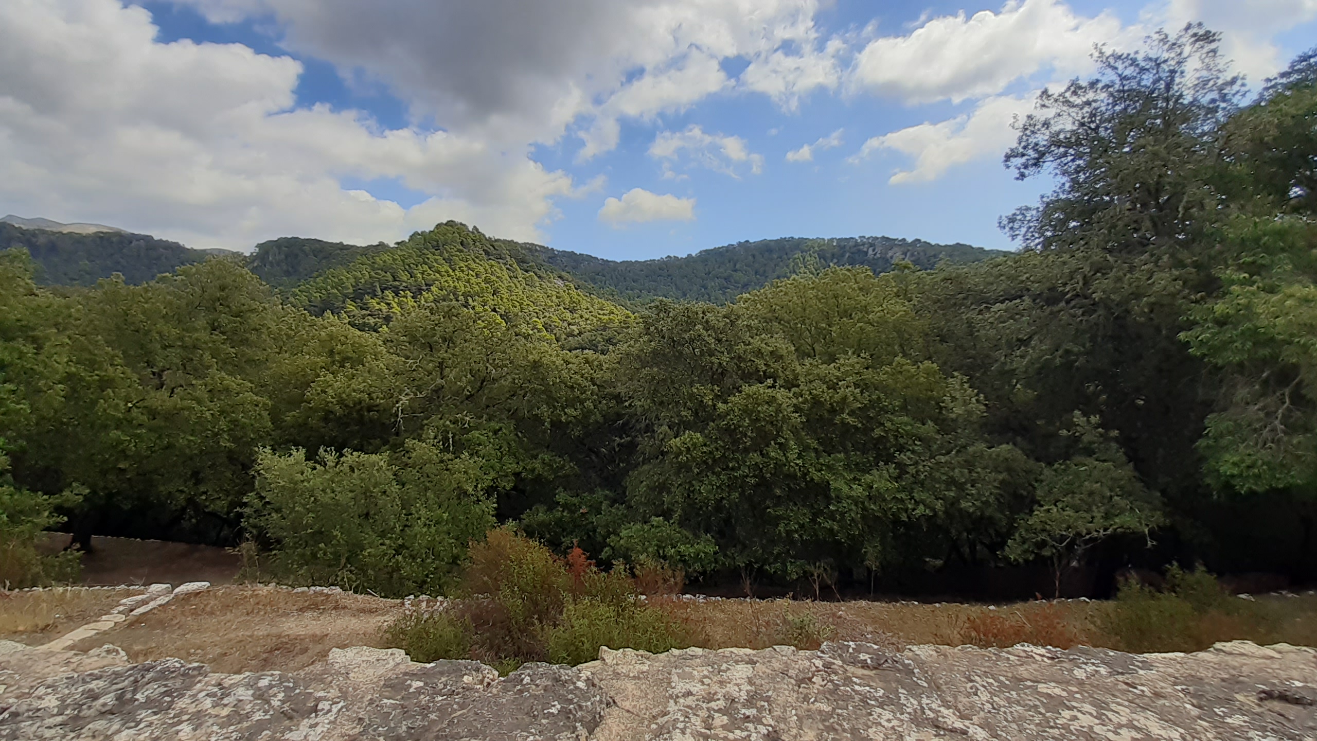 Paisatge de la Serra de Tramuntana