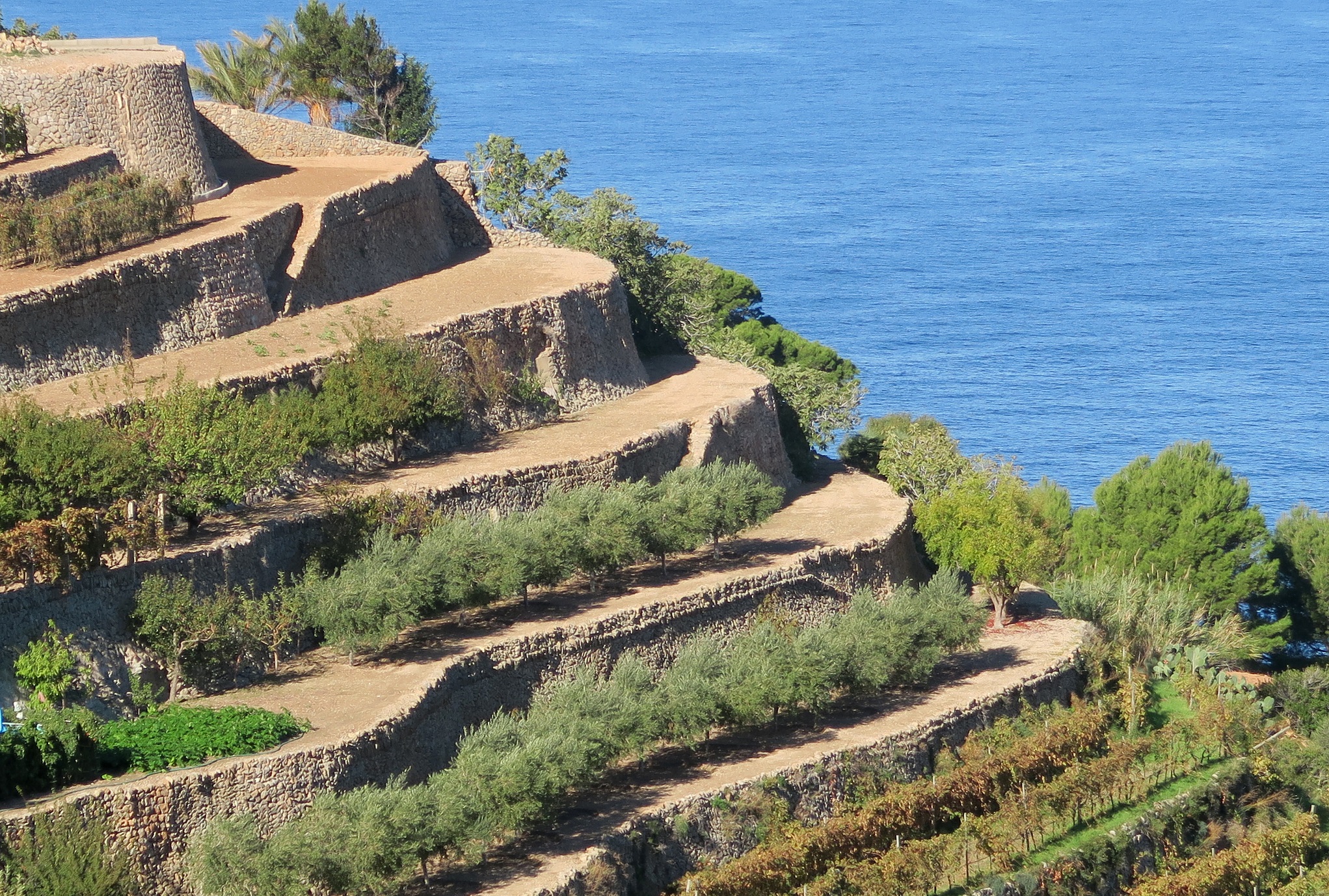 Paredes de piedra seca en Banyalbufar