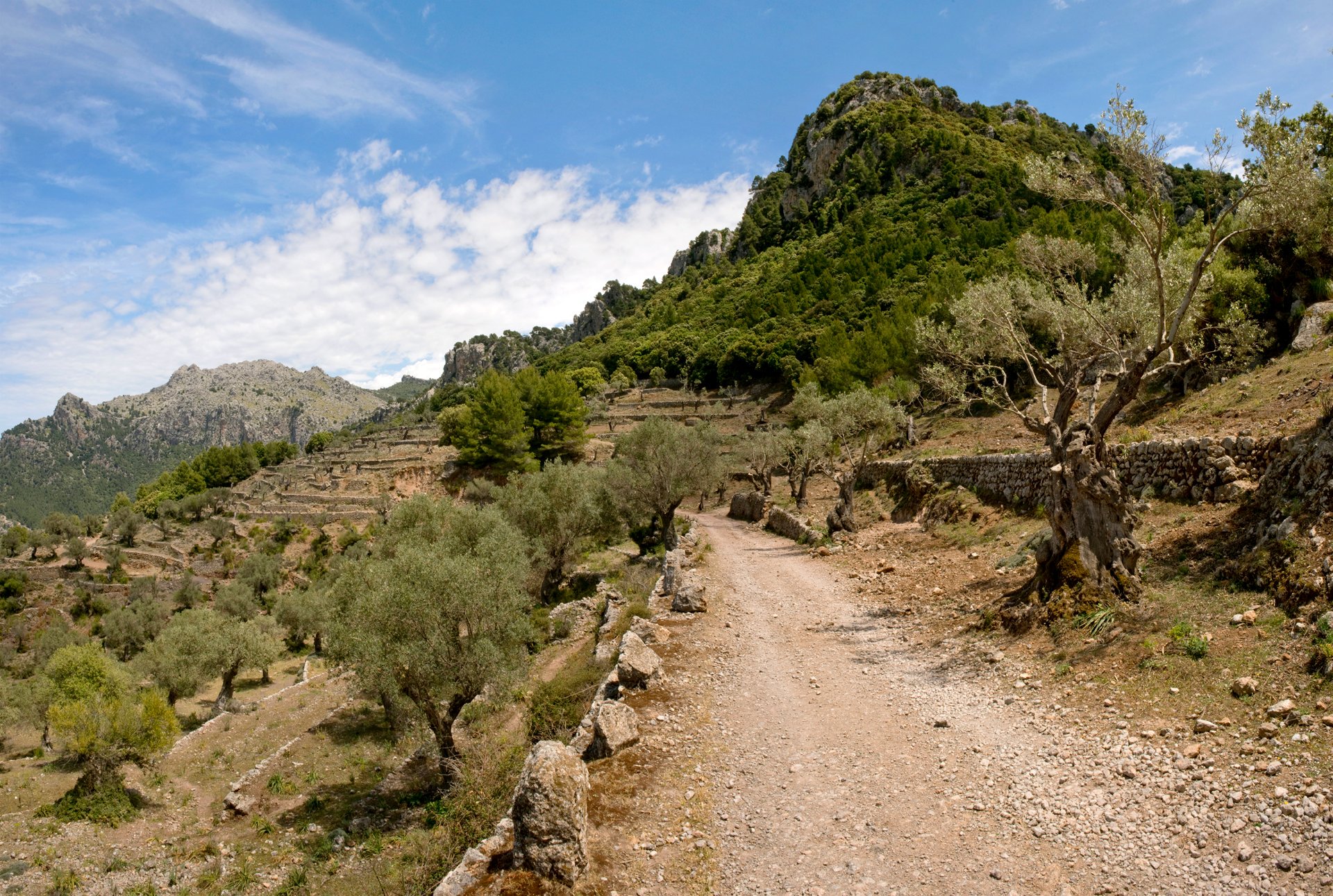 Camí a la Serra de Tramuntana