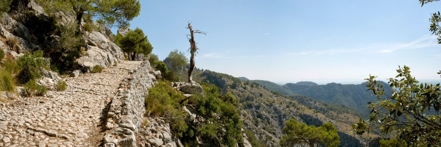 Camí al castell d'Alaró