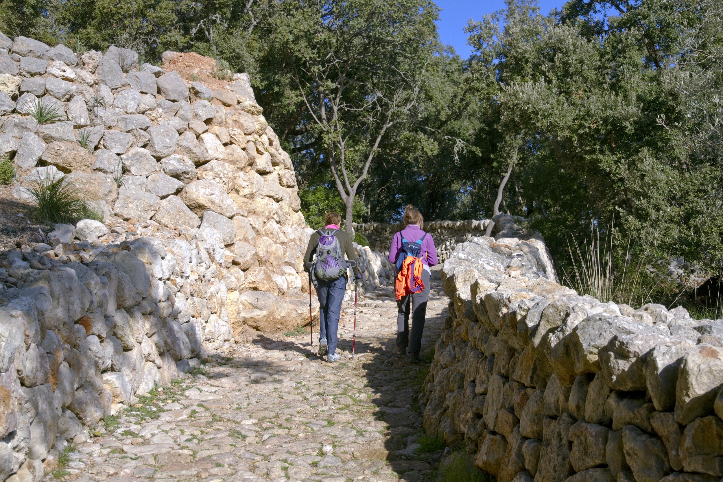 Camí des Correu