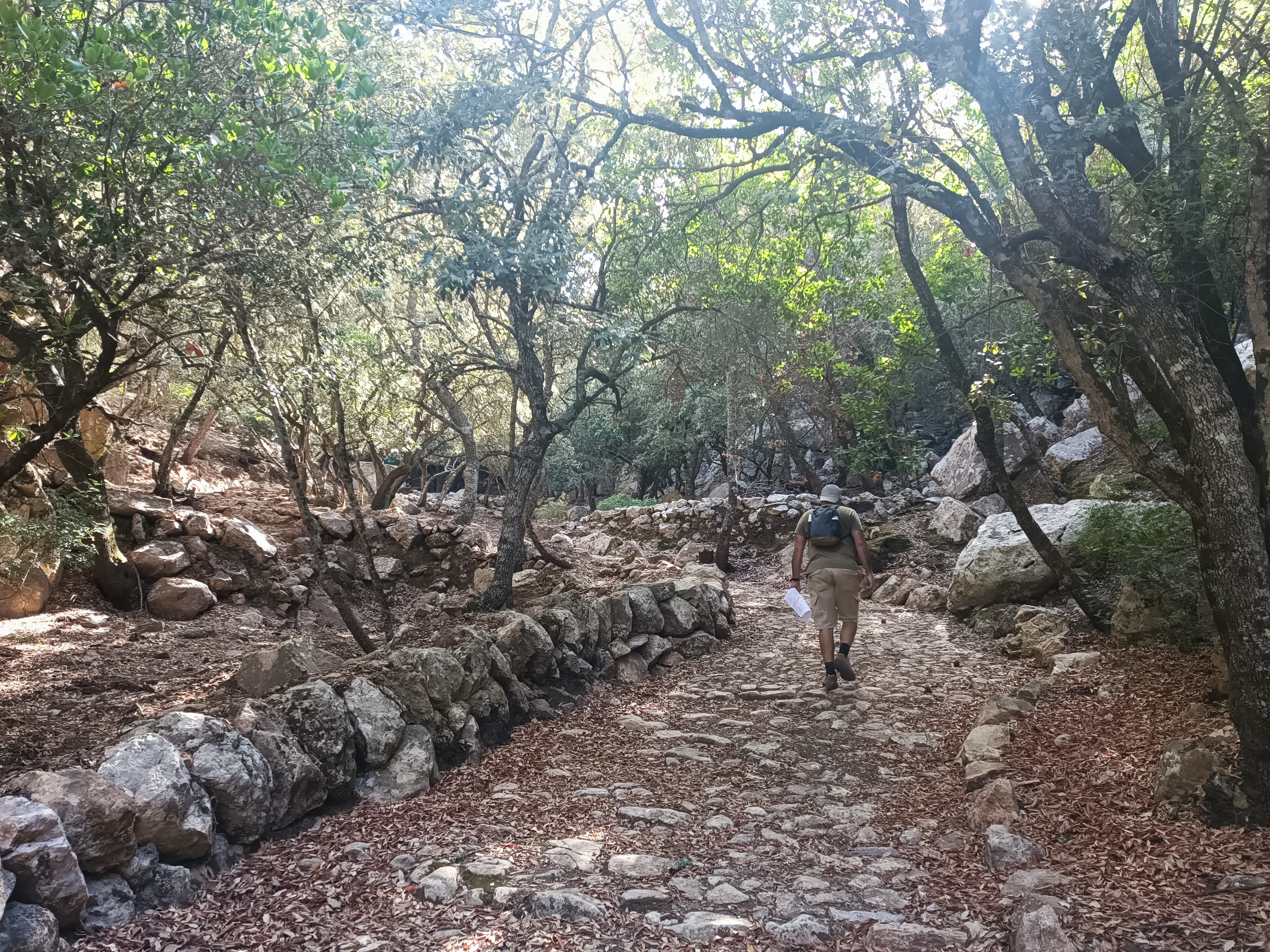 Caminada Popular d'Estellencs a Puigpunyent