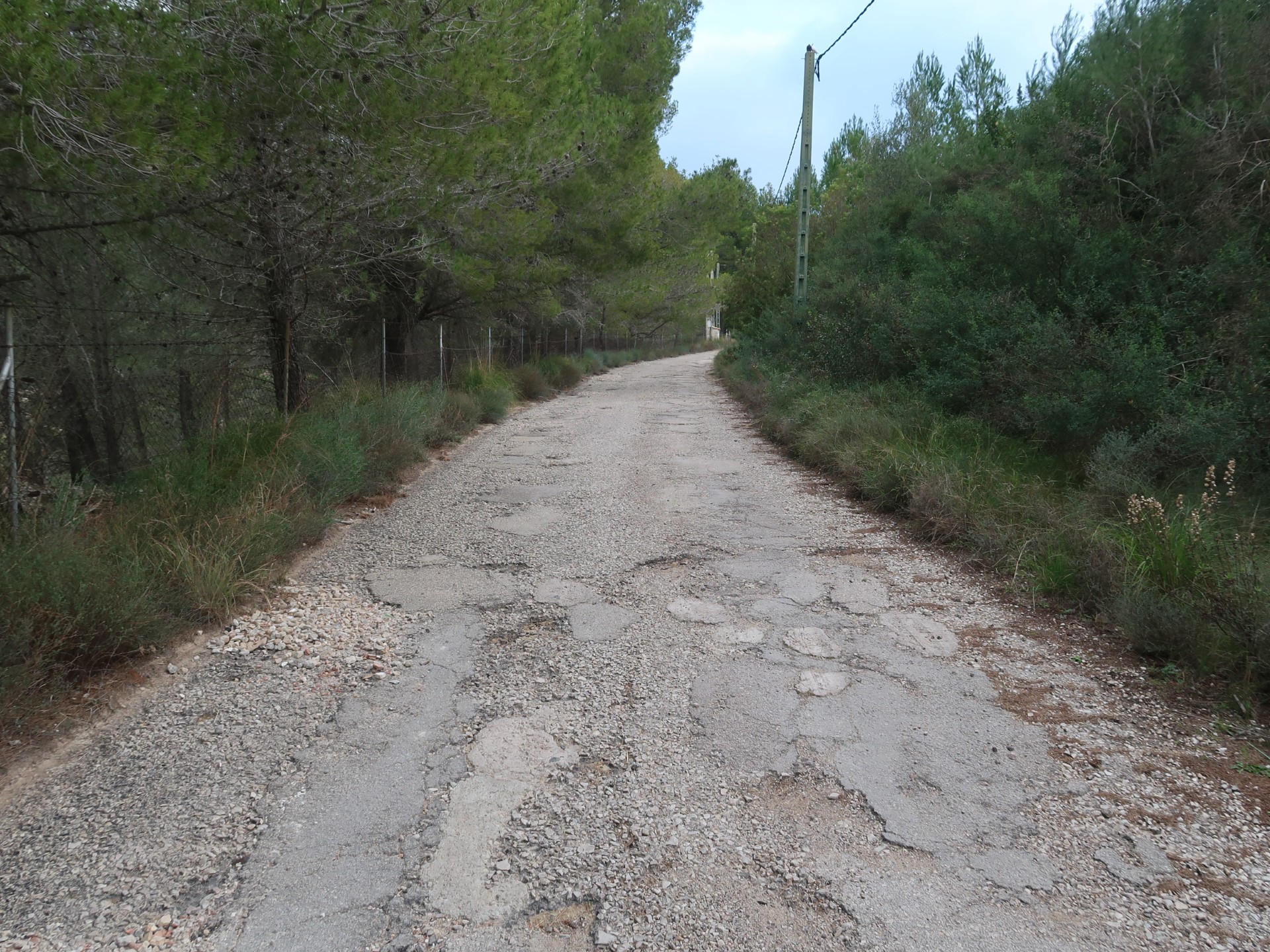 Camí de Son Cabaspre, a Esporles.