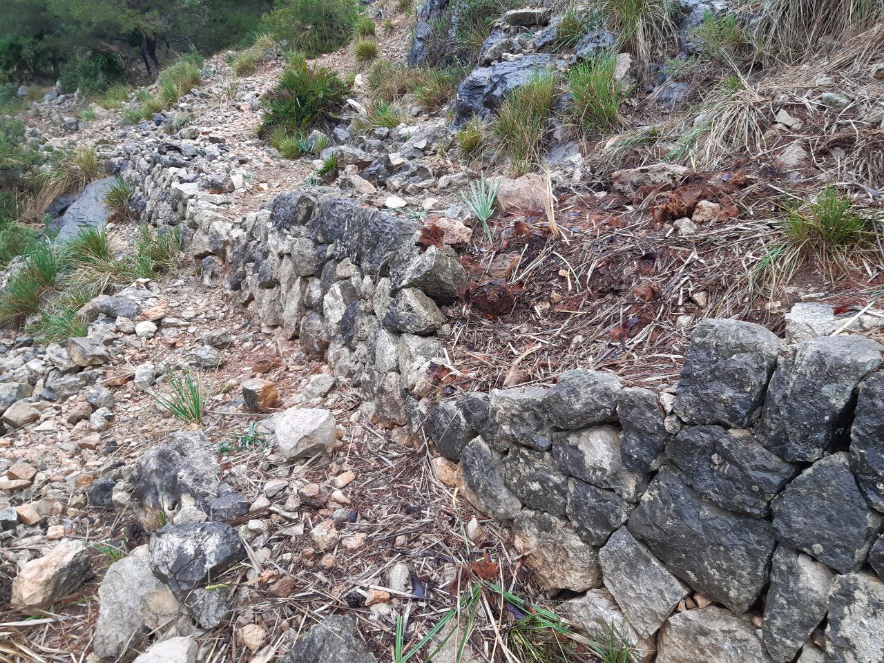 camí Vell del Far de Formentor, proximitats cala Murta 