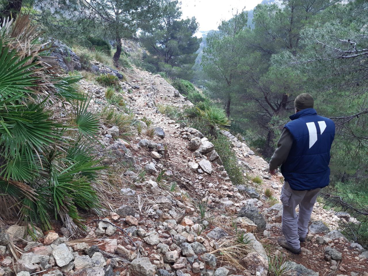 camí Vell del Far de Formentor, proximitats cala Murta 