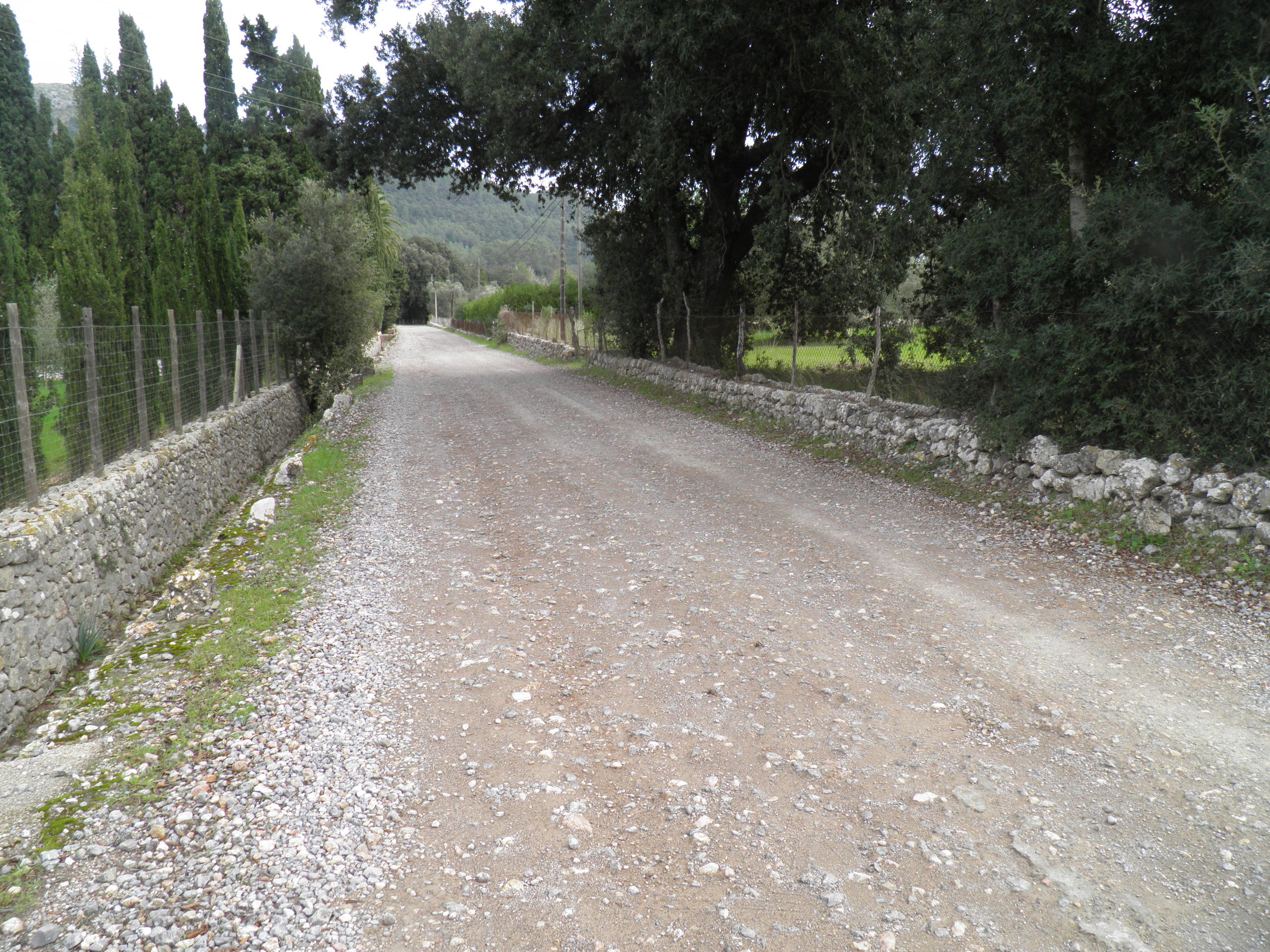 carretera vieja de Lluc