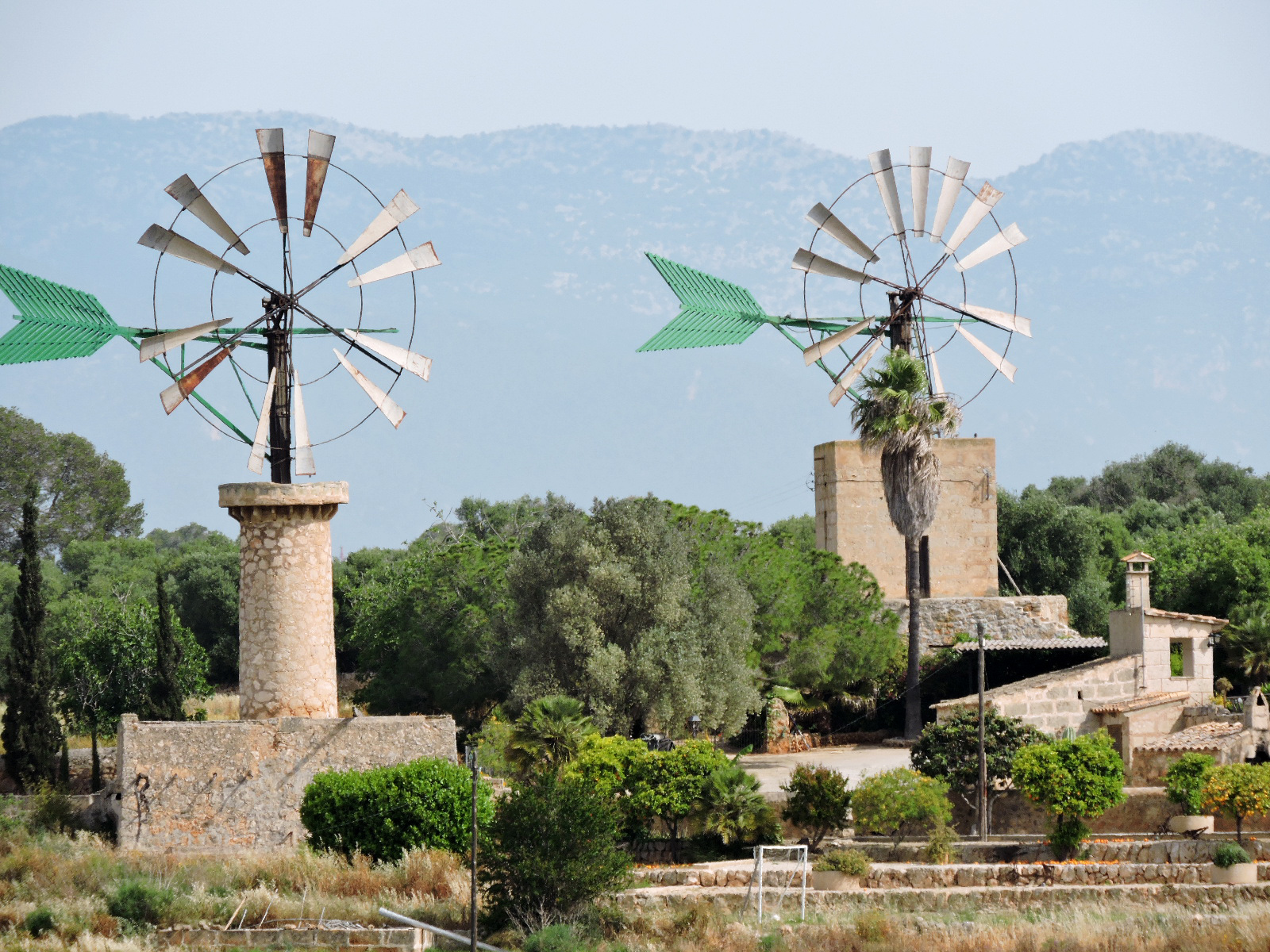 Molins de pales al Pla de Sant Jordi (Palma)