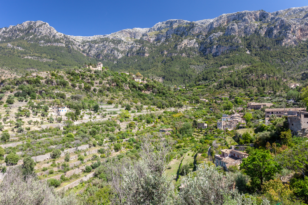 Paisatge de Mallorca