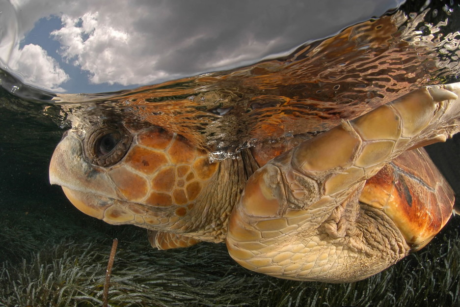 Exposición Mirades obertes a la natura