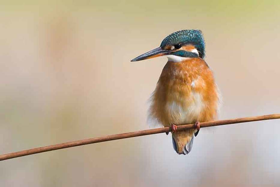 Exposición Mirades obertes a la natura