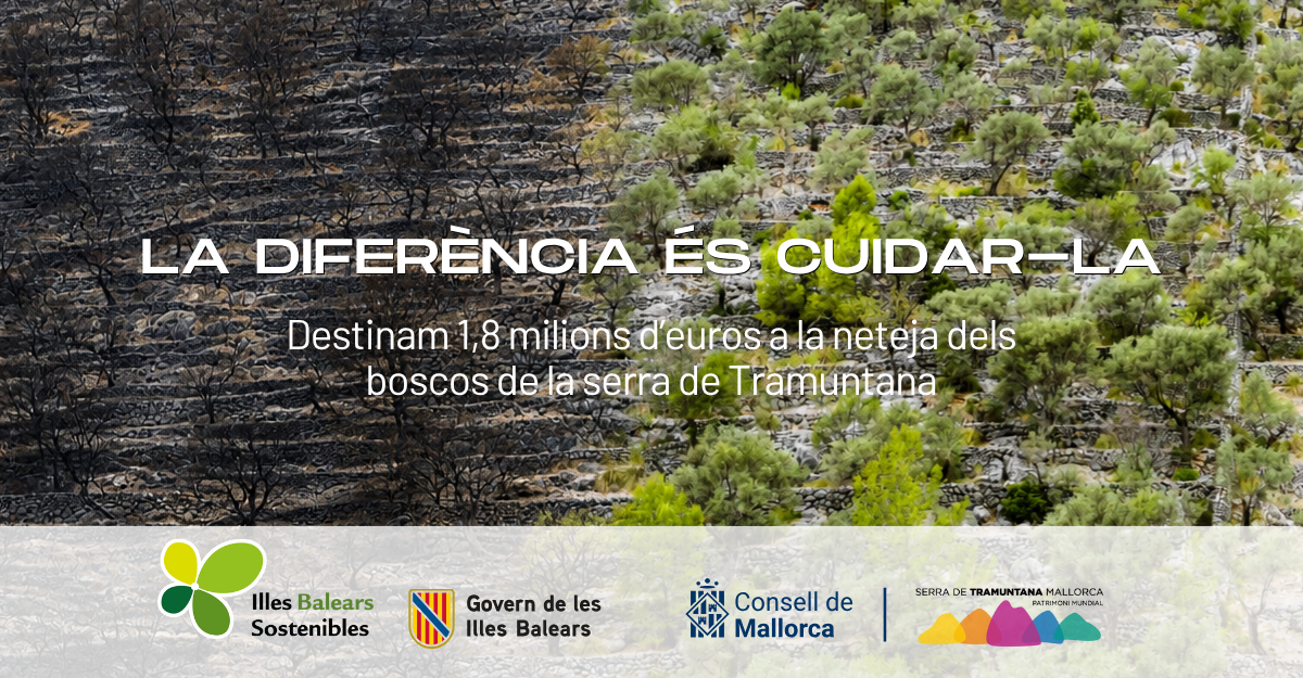 Campanya de sanejament forestal preventiu a la Serra de Tramuntana