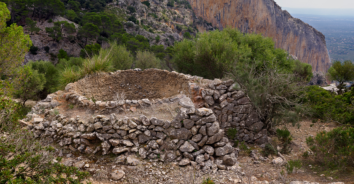 Lime kilns