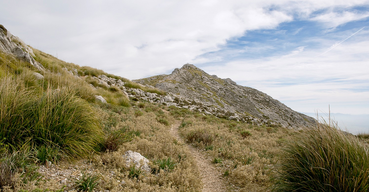 La Mola - Son Massip