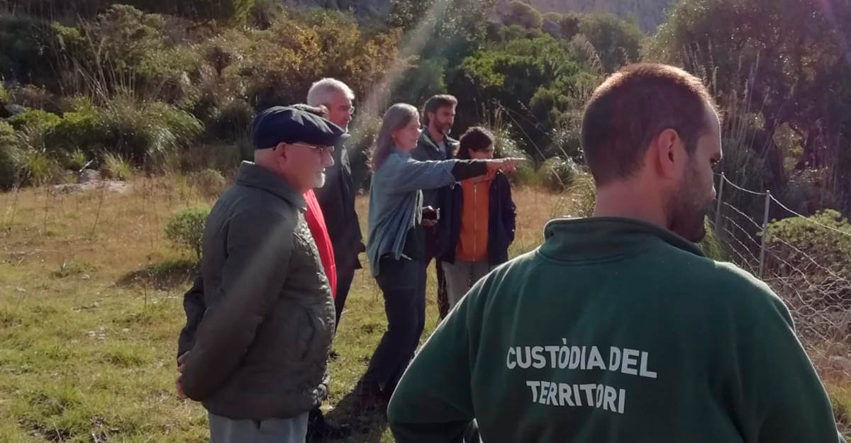 Custodia del territorio