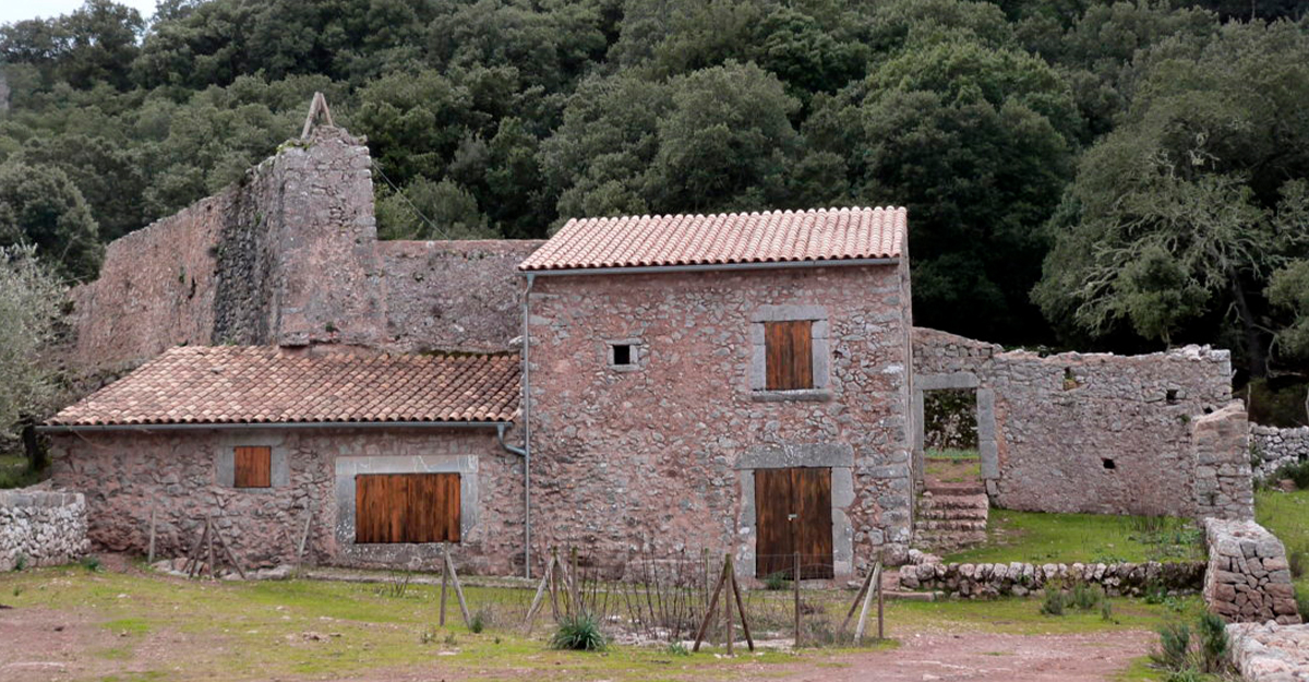 El monasterio de Lluc y Son Amer