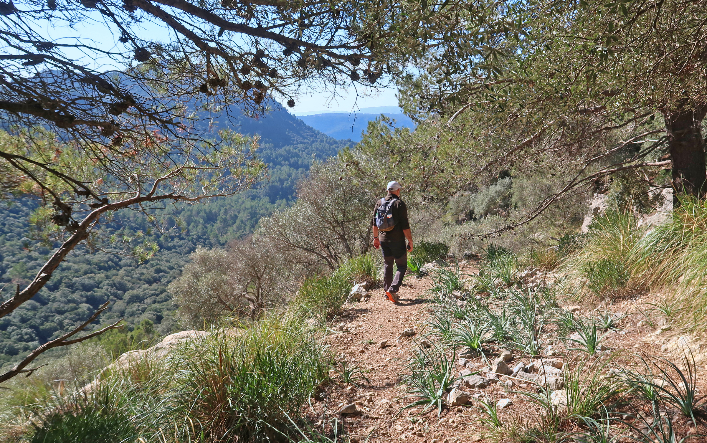 Coma des Cairats (Valldemossa)