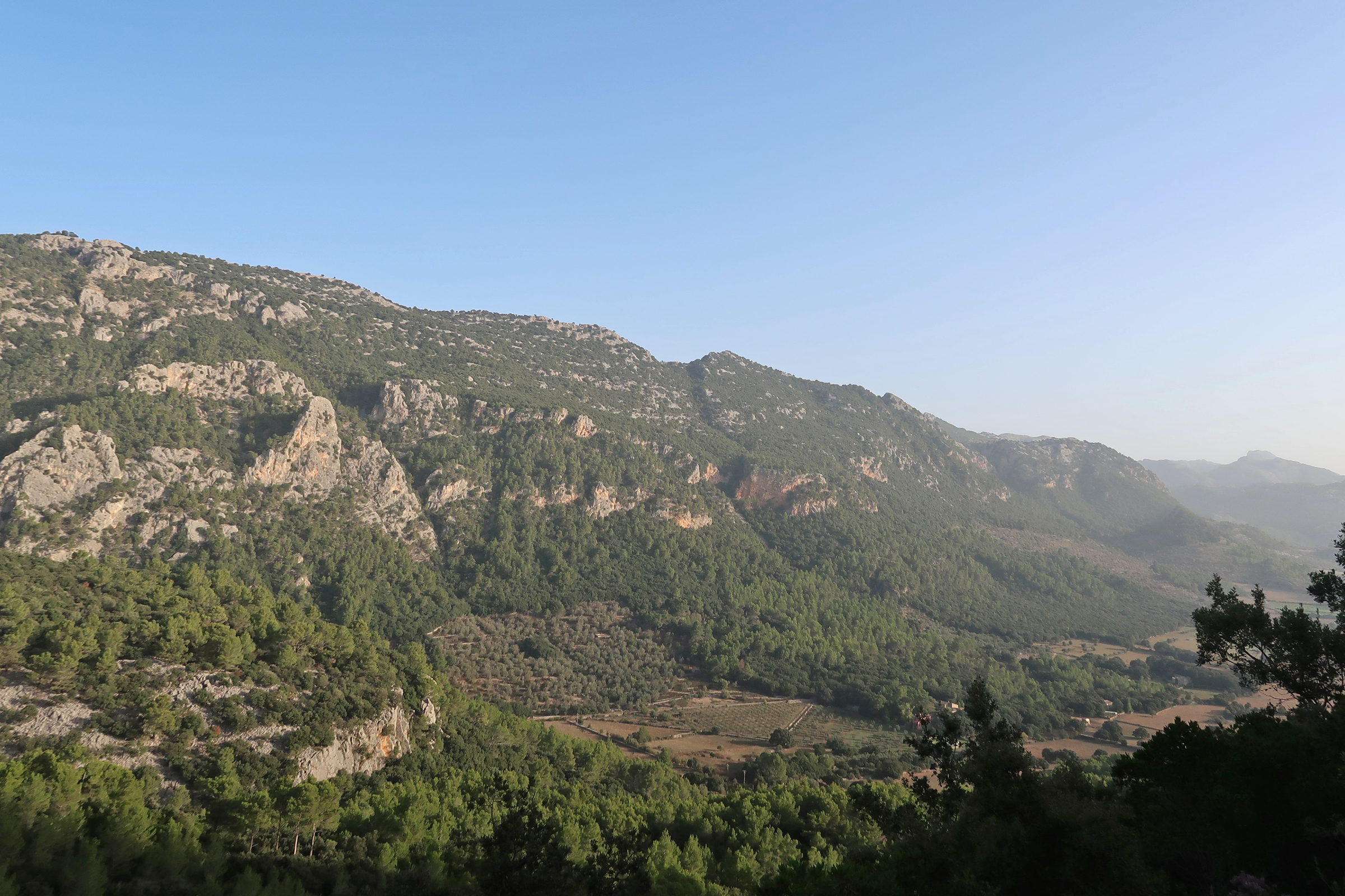 Serra d'Alfàbia