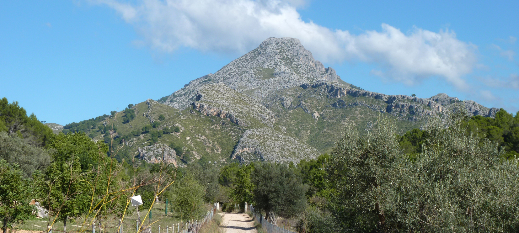 Puig de Galatzó