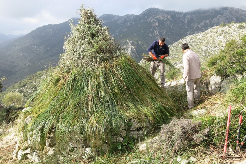 Restauració d'una barraca de carboner