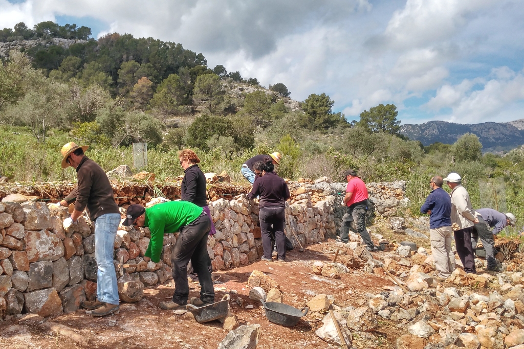 Formación: curso de Raixa (2017)