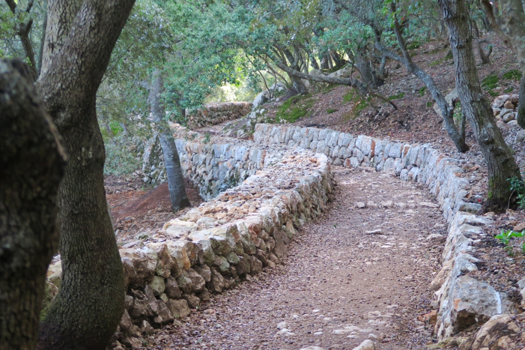 Camino des Correu