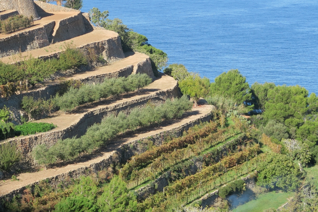 Terraces of Banyalbufar