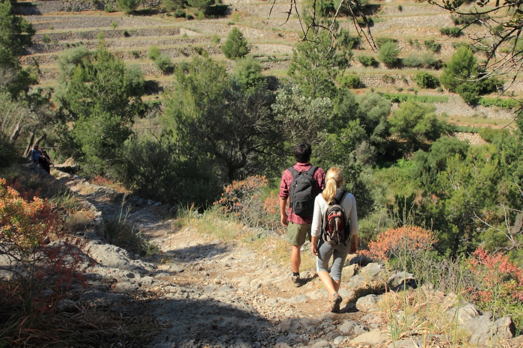 Camino de sa Pesta