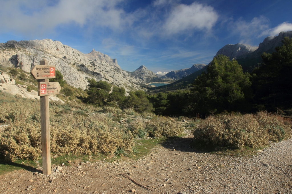 Coll de l'Ofre