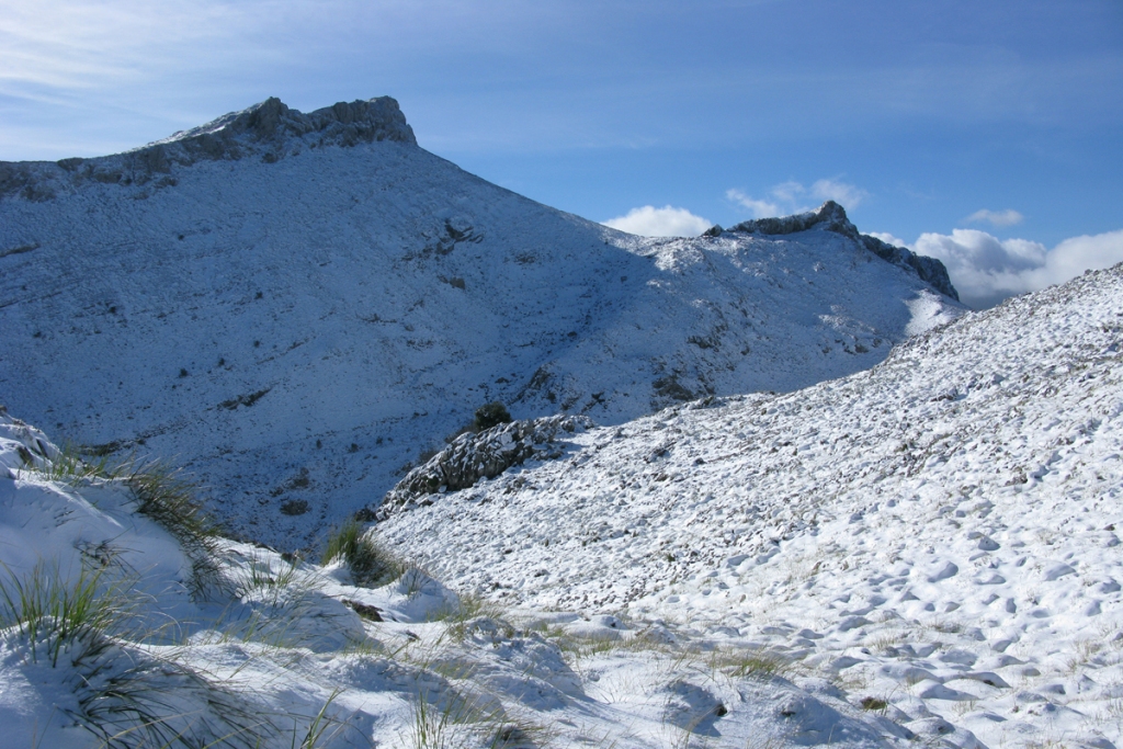 Massanella i serra des Teixos