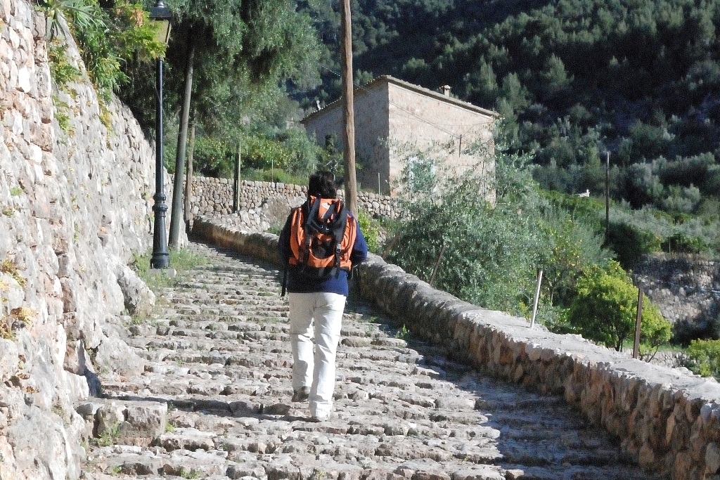 Camino de la Encina Fumadora