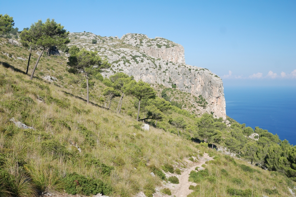 Vista des del camí