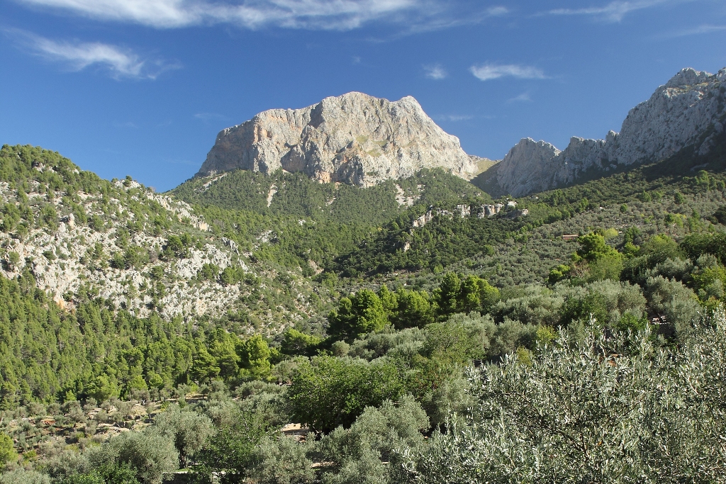 Peña de Es Migdia