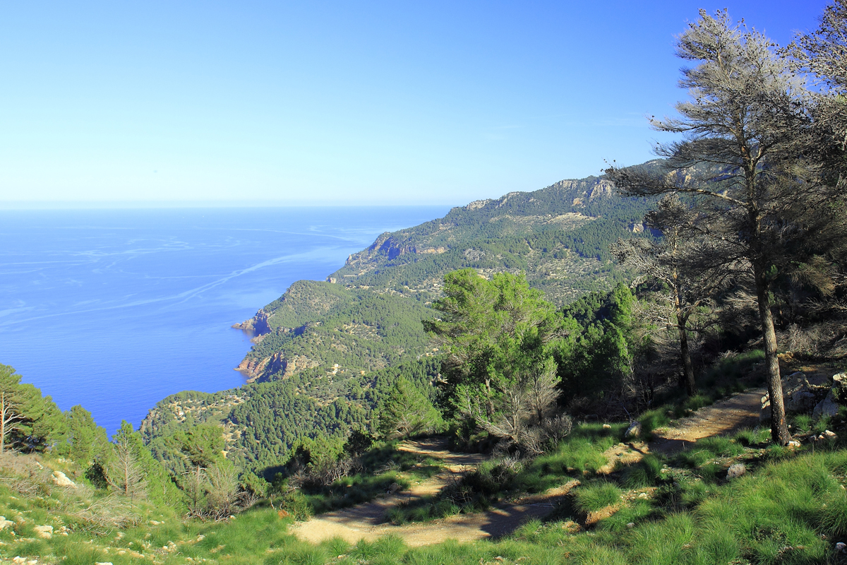 Vistas sobre la costa d'Estellencs