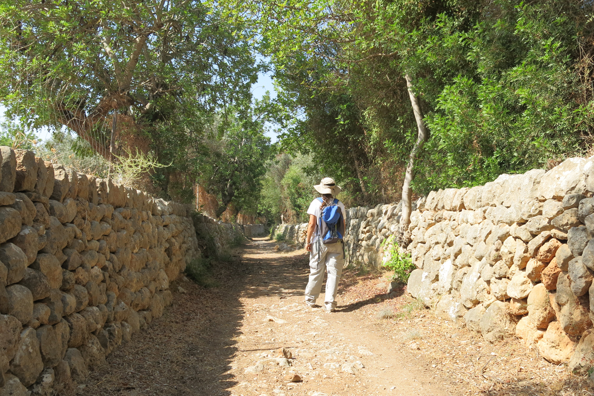 Camí de Raixa