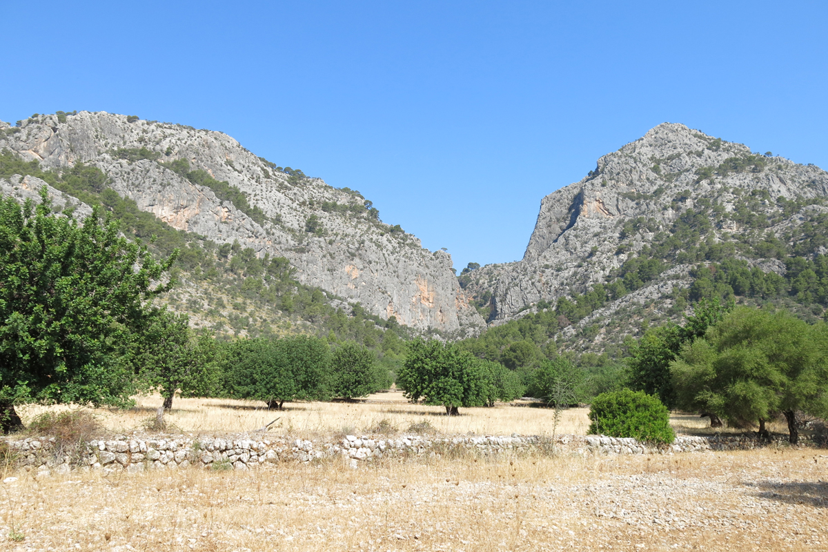 Na Falconera y sa Gubia