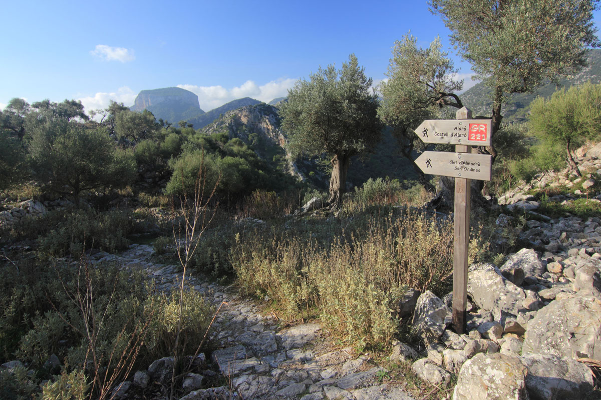 Camí d'Alaró