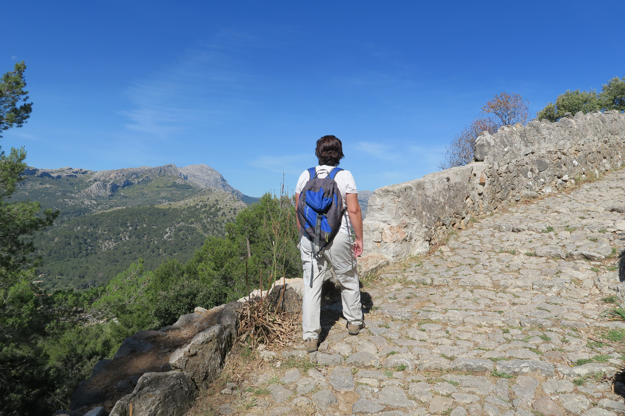 Camí des Puig de Maria